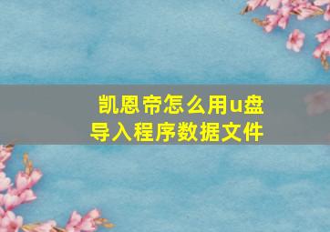 凯恩帝怎么用u盘导入程序数据文件