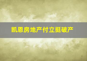 凯恩房地产付立挺破产