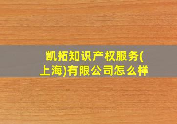 凯拓知识产权服务(上海)有限公司怎么样