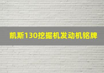 凯斯130挖掘机发动机铭牌