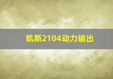 凯斯2104动力输出