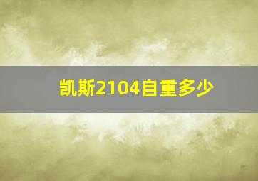 凯斯2104自重多少