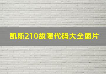 凯斯210故障代码大全图片