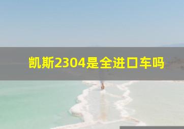 凯斯2304是全进口车吗