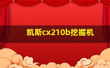 凯斯cx210b挖掘机