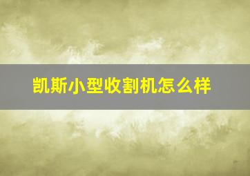 凯斯小型收割机怎么样