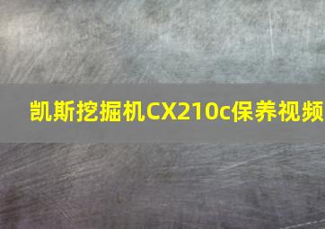 凯斯挖掘机CX210c保养视频