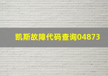 凯斯故障代码查询04873