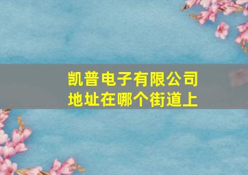 凯普电子有限公司地址在哪个街道上