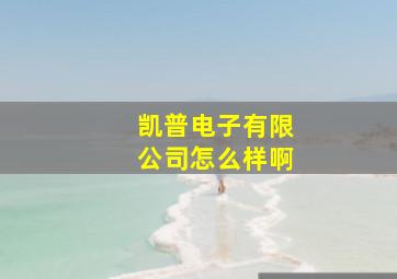 凯普电子有限公司怎么样啊