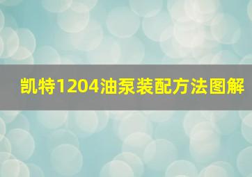 凯特1204油泵装配方法图解