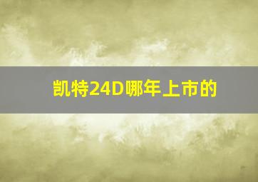 凯特24D哪年上市的