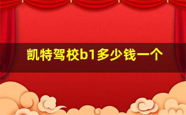 凯特驾校b1多少钱一个