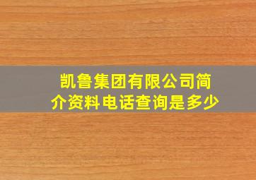 凯鲁集团有限公司简介资料电话查询是多少