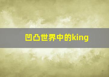 凹凸世界中的king