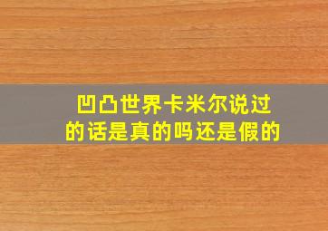 凹凸世界卡米尔说过的话是真的吗还是假的