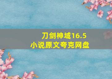 刀剑神域16.5小说原文夸克网盘