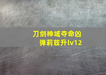 刀剑神域夺命凶弹莉兹升lv12