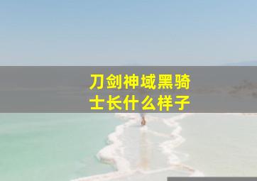 刀剑神域黑骑士长什么样子