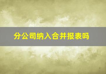 分公司纳入合并报表吗