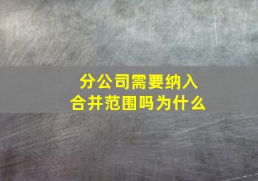 分公司需要纳入合并范围吗为什么