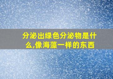 分泌出绿色分泌物是什么,像海藻一样的东西