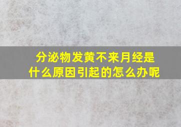 分泌物发黄不来月经是什么原因引起的怎么办呢