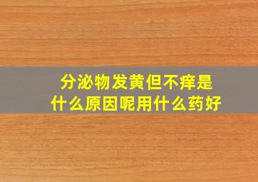 分泌物发黄但不痒是什么原因呢用什么药好