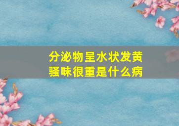 分泌物呈水状发黄骚味很重是什么病