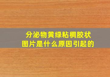 分泌物黄绿粘稠胶状图片是什么原因引起的