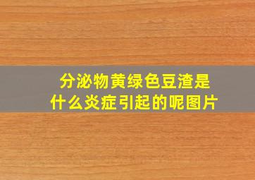 分泌物黄绿色豆渣是什么炎症引起的呢图片