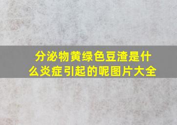 分泌物黄绿色豆渣是什么炎症引起的呢图片大全