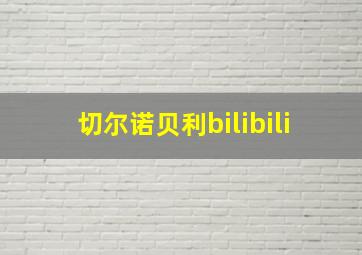 切尔诺贝利bilibili