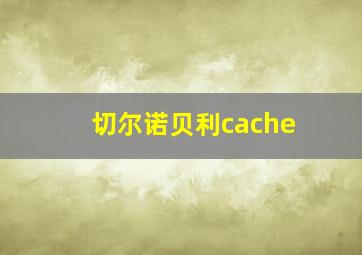 切尔诺贝利cache