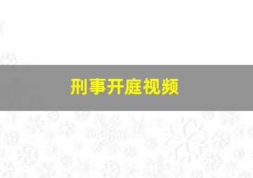 刑事开庭视频