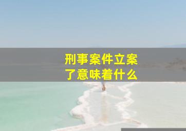 刑事案件立案了意味着什么