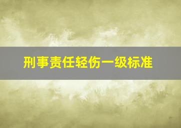 刑事责任轻伤一级标准