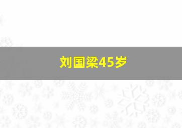 刘国梁45岁