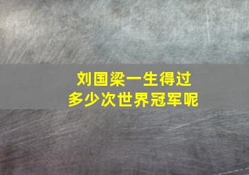 刘国梁一生得过多少次世界冠军呢