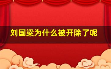 刘国梁为什么被开除了呢