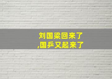 刘国梁回来了,国乒又起来了