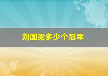 刘国梁多少个冠军