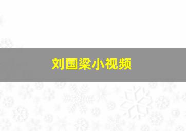 刘国梁小视频