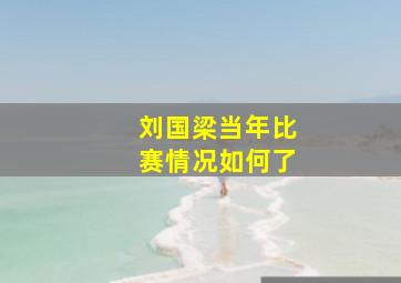 刘国梁当年比赛情况如何了