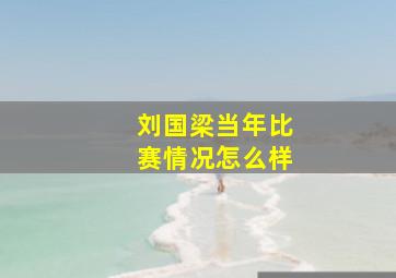 刘国梁当年比赛情况怎么样