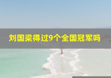 刘国梁得过9个全国冠军吗