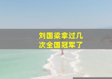 刘国梁拿过几次全国冠军了