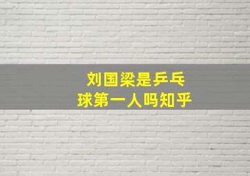 刘国梁是乒乓球第一人吗知乎