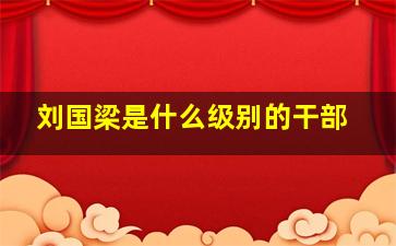 刘国梁是什么级别的干部