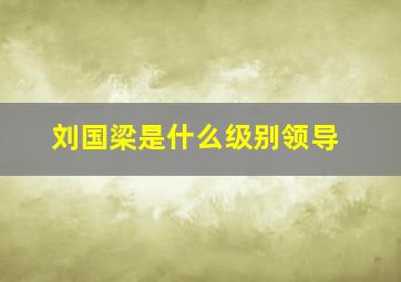 刘国梁是什么级别领导